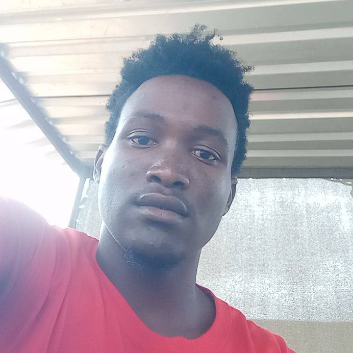 86473757 2845 medium large