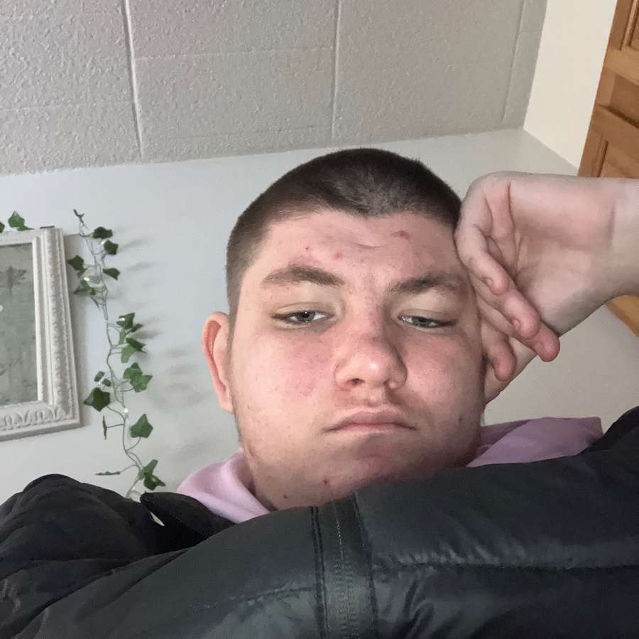 86621353 4328 medium large