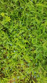 Hanzala Asamadi's photo