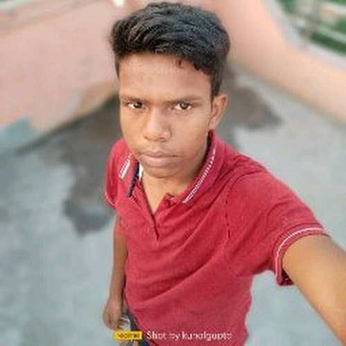66239906 3275