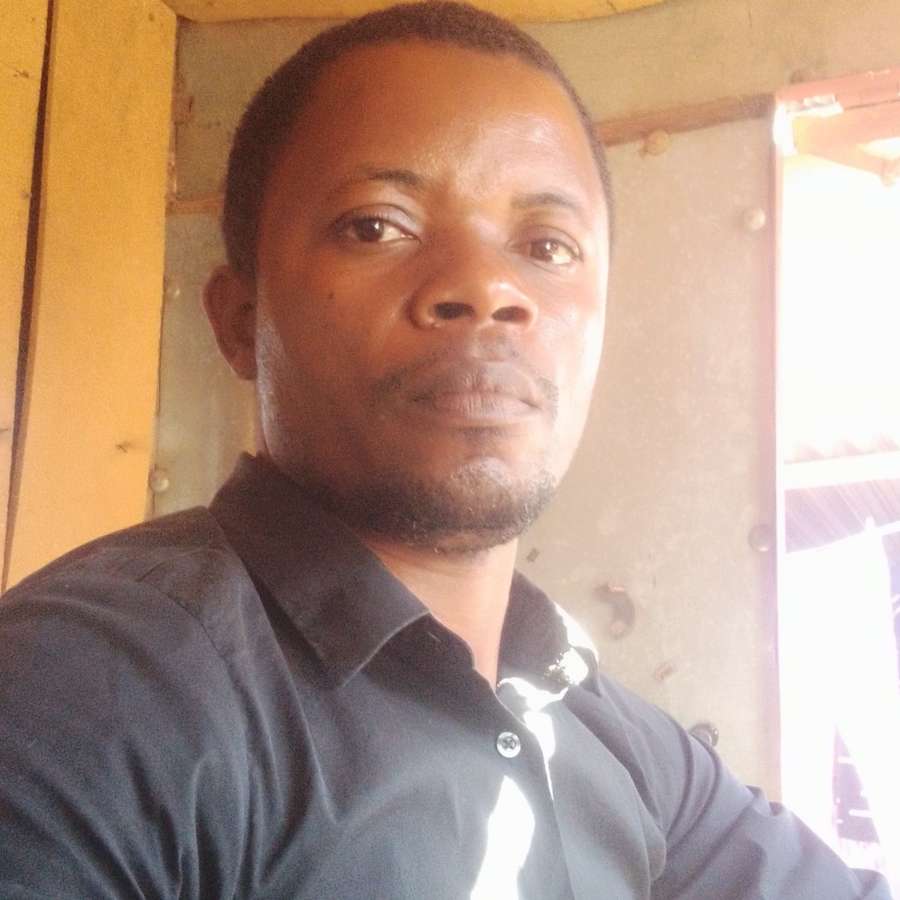 88037282 387 medium large