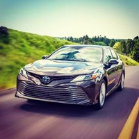 Best chainal for all wolrd's photo