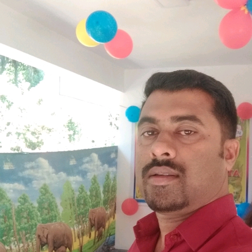 49864426 4505
