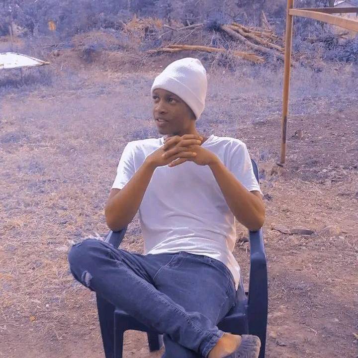 86171166 4332 medium large