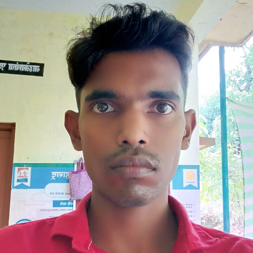 67176508 4382