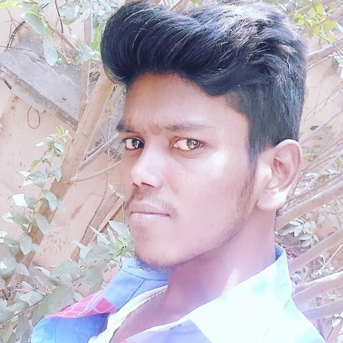 48219933 5666