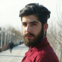 hamid mohsen's photo