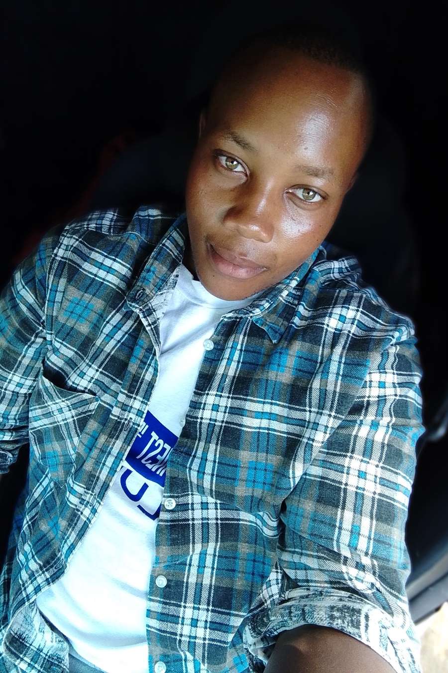 88894367 7019 medium large