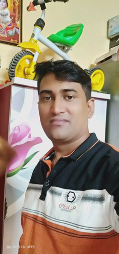 51826833 411