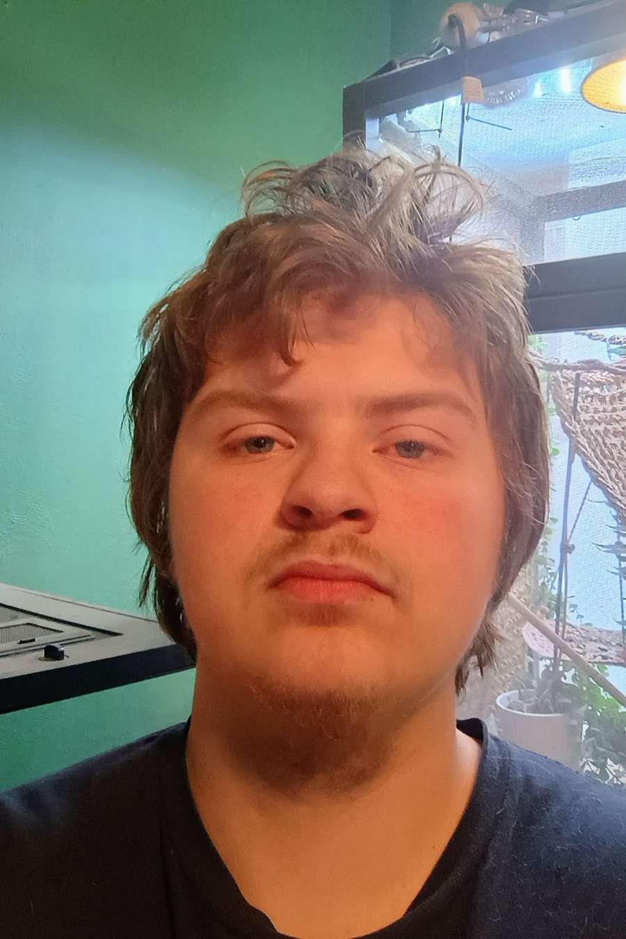 90178294 7508 medium large