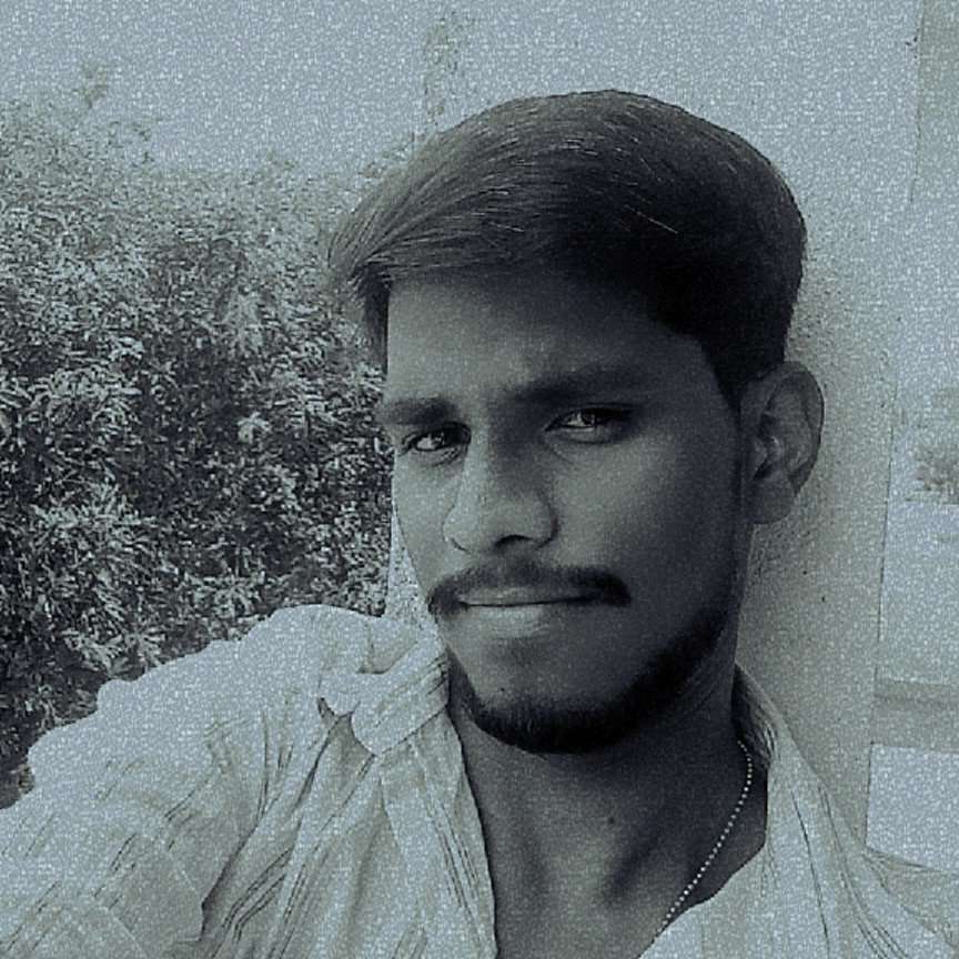 87138688 955 medium large