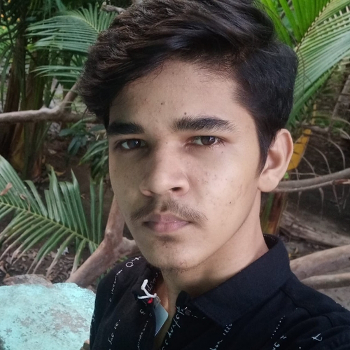 48292694 4388
