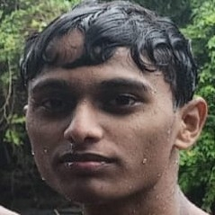 49400434 156