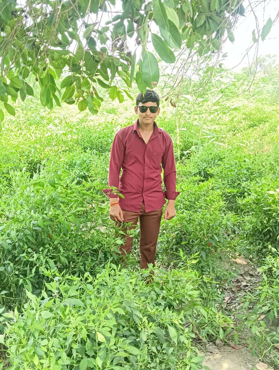 88331925 559 medium large