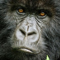 ThickAlmighty's photo