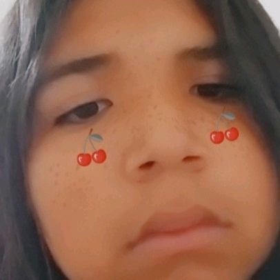 55589291 66