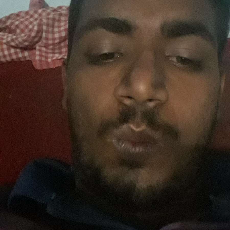 81018283 2313 medium large
