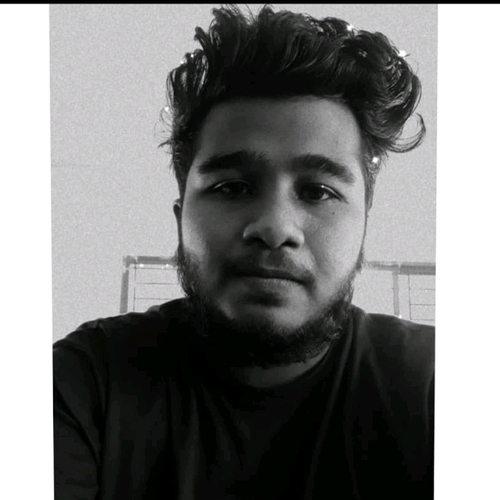 53824133 2117