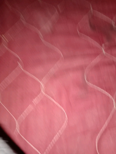 65938236 4304