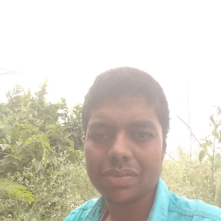 82495885 6559 medium large