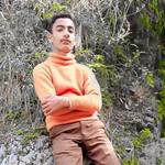 Ff crime King's photo