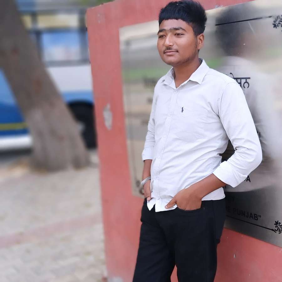 84118437 7938 medium large