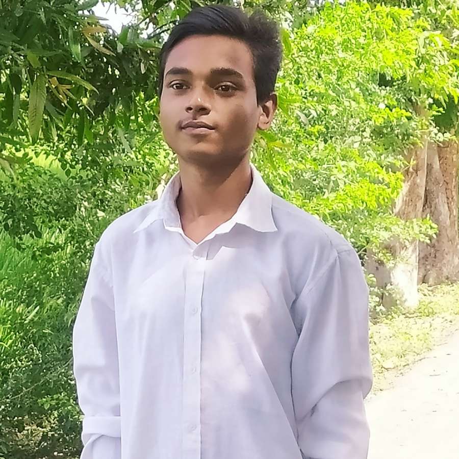 87931552 495 medium large