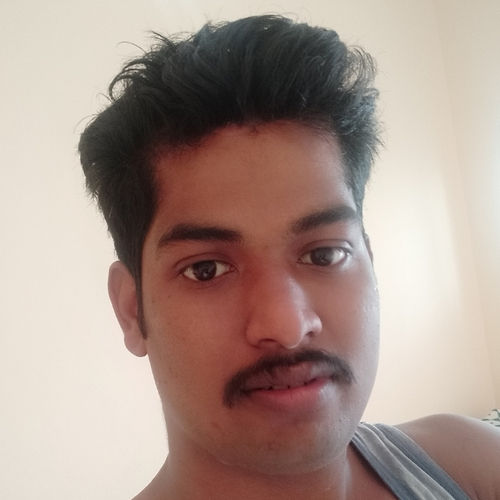 43706646 3031