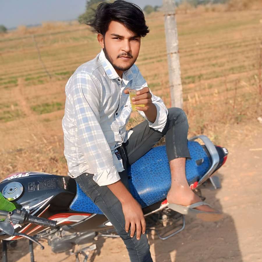 84568187 3619 medium large
