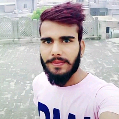 53813062 1524