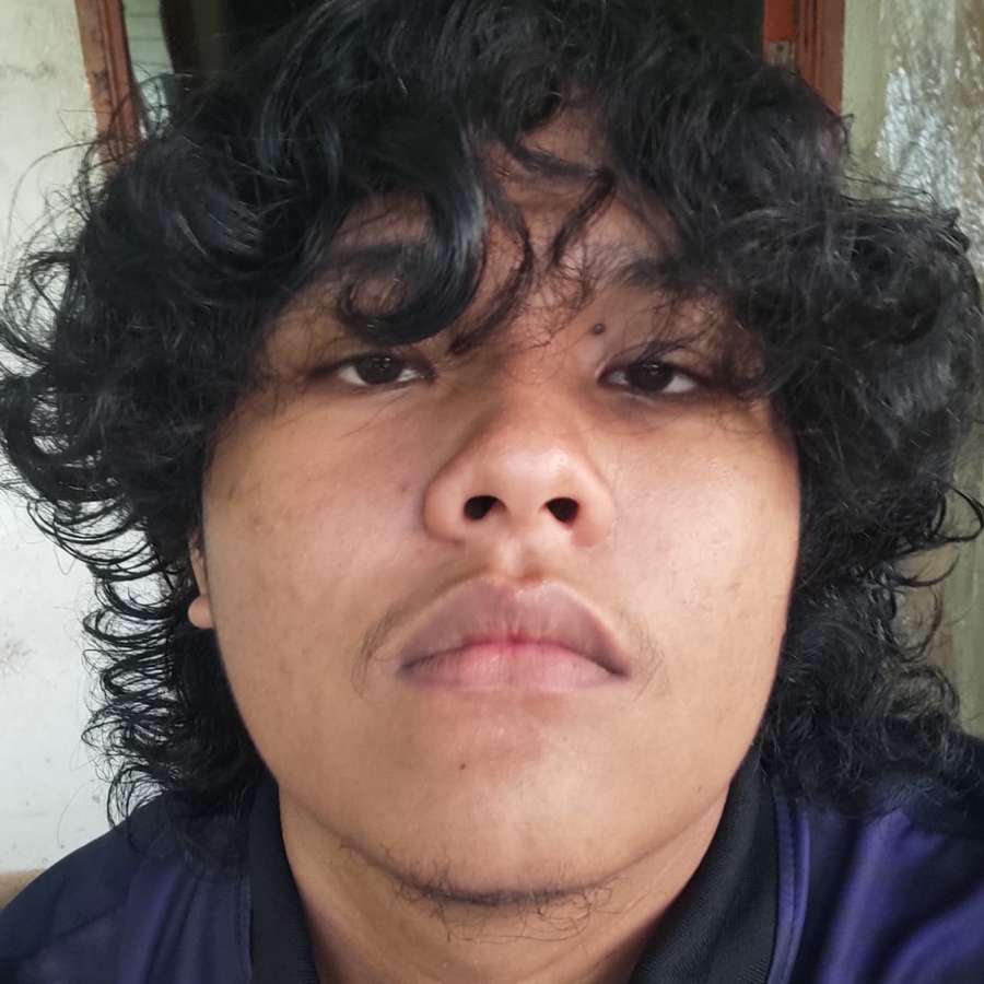 86577392 2517 medium large