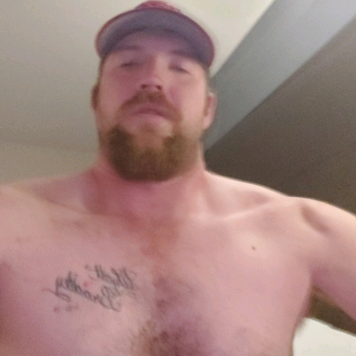 58834293 2733