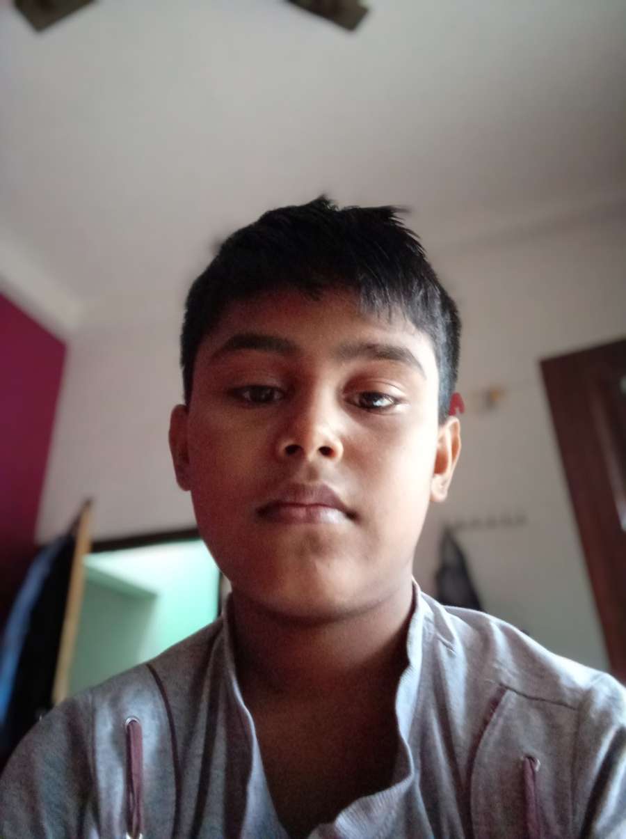 85684445 2031 medium large