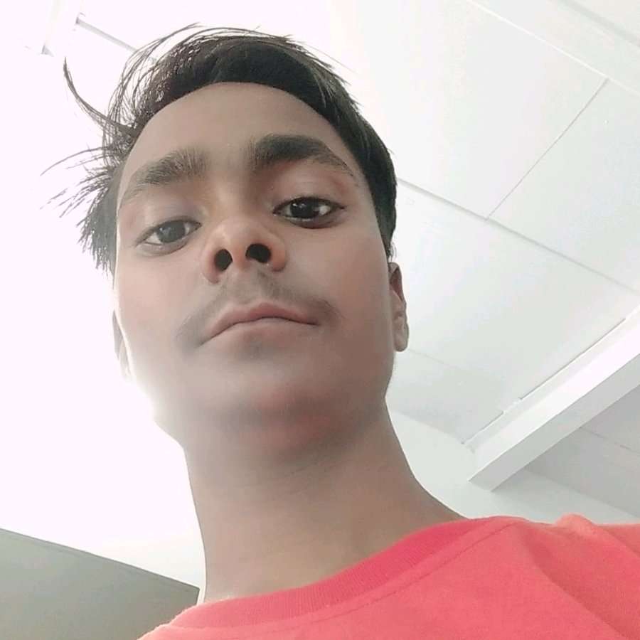 73836481 697 medium large