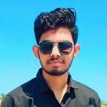Rohit Kumar's photo