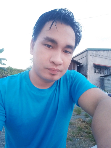 50223653 171