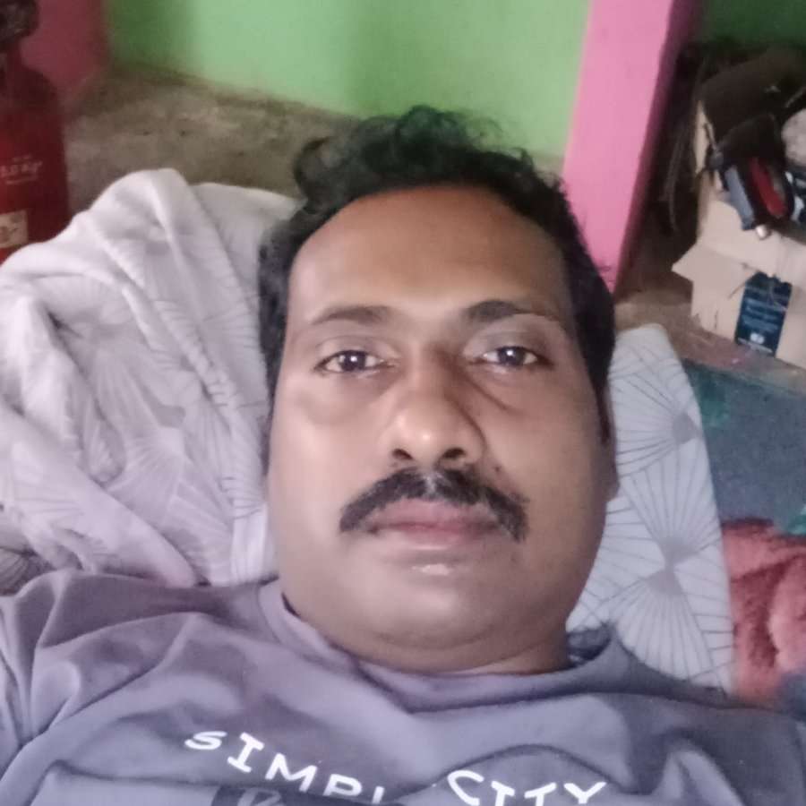 82924182 2083 medium large