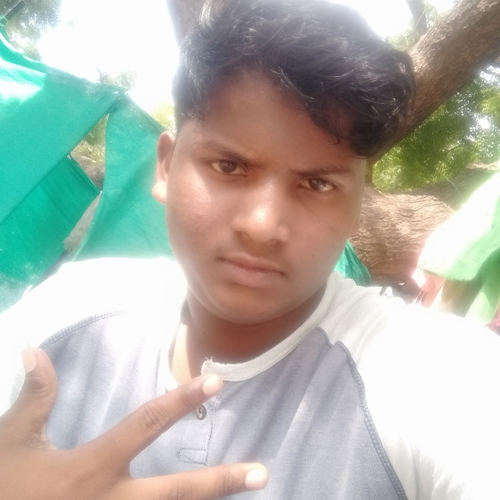 48683654 9543