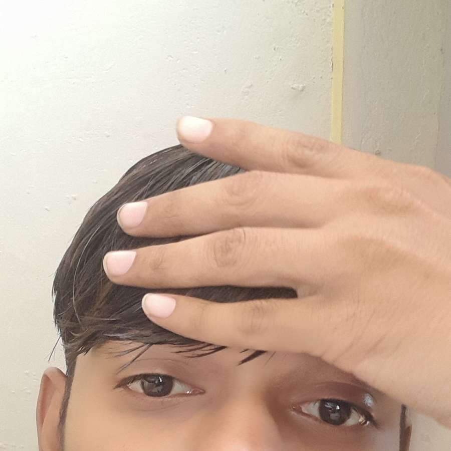 79880110 2062 medium large