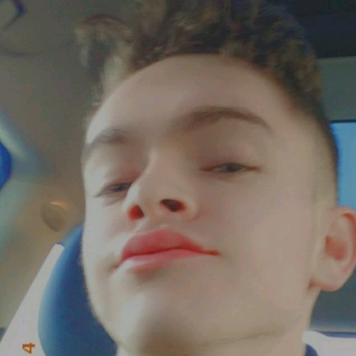 53525772 7956