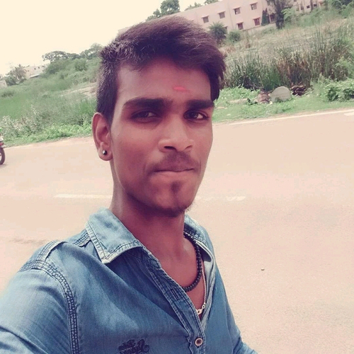 54565378 5323