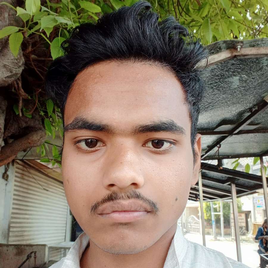 86536210 3433 medium large