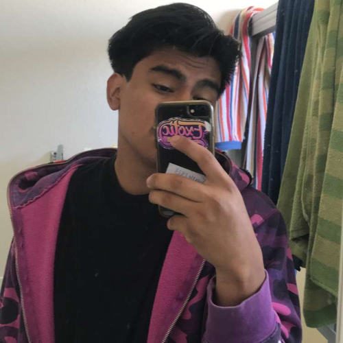 51428199 2001