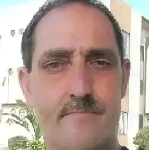 68957365 3811