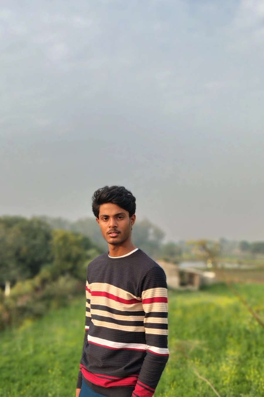 85845082 1745 medium large