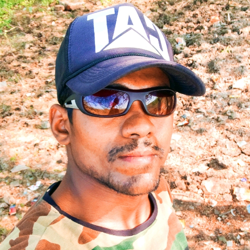 50426991 4481
