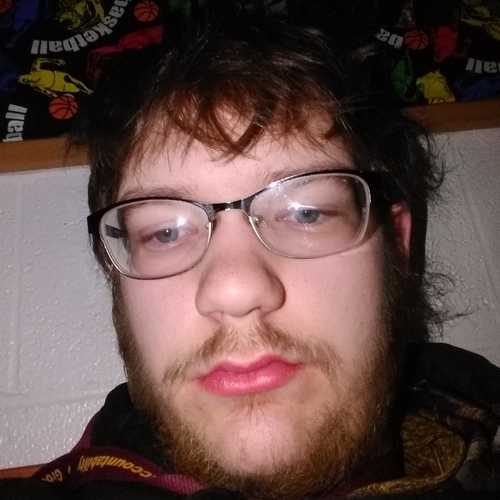32025339 4481