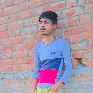75785275 1300 medium large