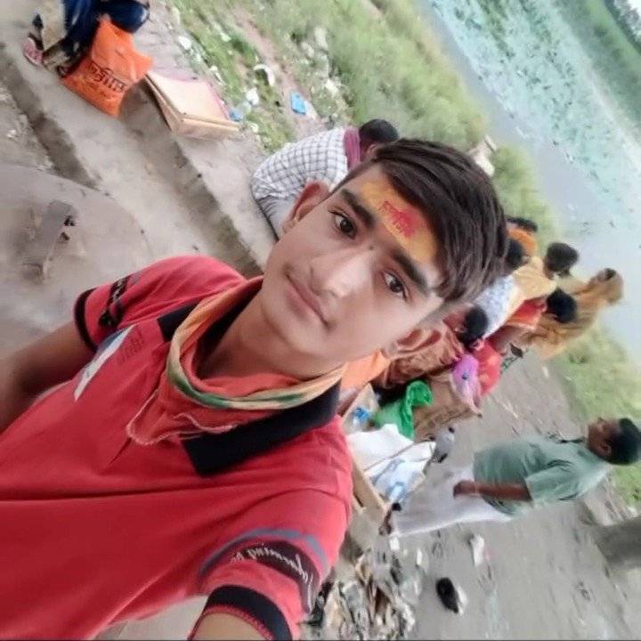 87631253 685 medium large