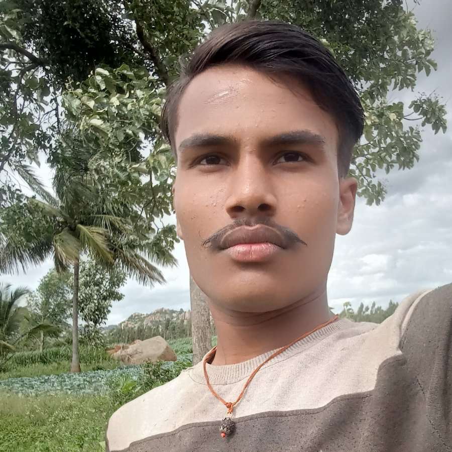 83266753 1909 medium large